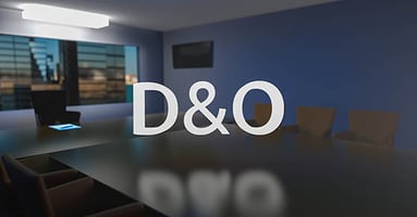 D&O Insurance May Be Worth Considering for Some Companies